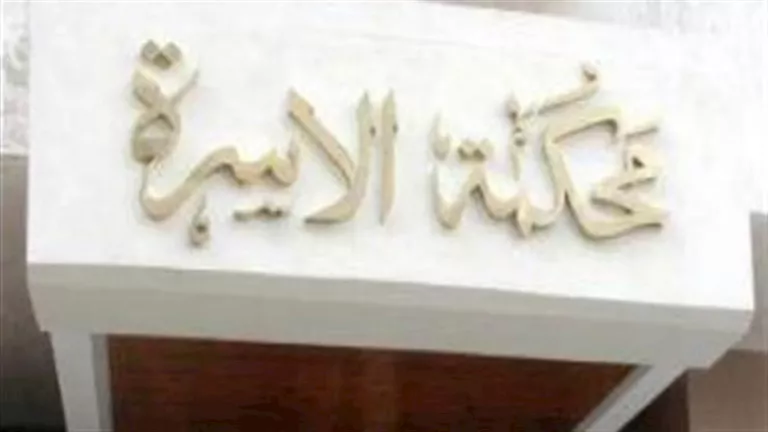 دعوى خلع من سما ضد زوجها: باع المحل واتجوز بفلوسه -صدى الخبر