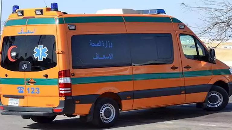9 مصابين بينهم أطفال في تصادم ميكروباص وملاكي بالوادي الجديد -صدى الخبر