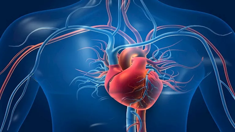 كيف تزيد تسارع ضربات القلب خطر الإصابة بالسكتة الدماغية؟ -صدى الخبر