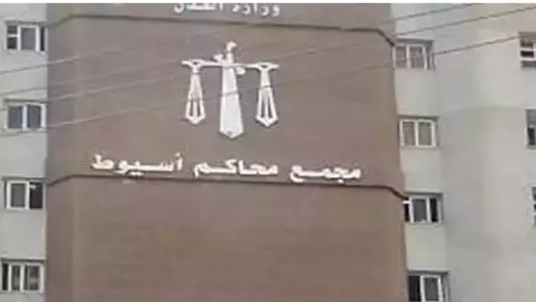 السجن 3 سنوات لـ5 متهمين اقتحموا أرضًا زراعية بأسلحة في منفلوط -صدى الخبر