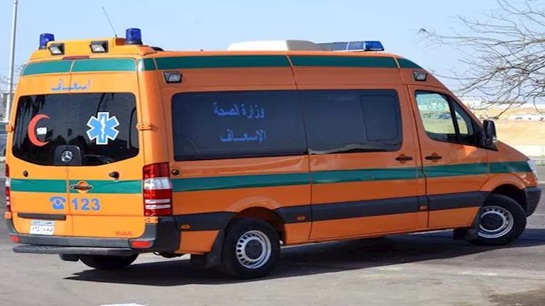 مصرع شخص وإصابة نجله إثر انقلاب تروسيكل في الوادي الجديد -صدى الخبر