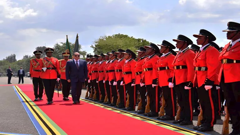 السيسي يشيد بمواقف تنزانيا ويدعو إلى تعزيز التعاون بين شركاء حوض الني -صدى الخبر