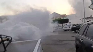 شكاوى من انتشار الناموس في بورسعيد والمحافظة تكثف حملات الرش -صدى الخبر