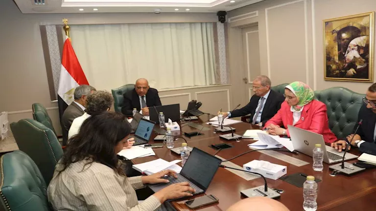 الكهرباء: إنشاء صندوق لخفض مخاطر الاستثمار بمشروعات الطاقة المتجددة -صدى الخبر