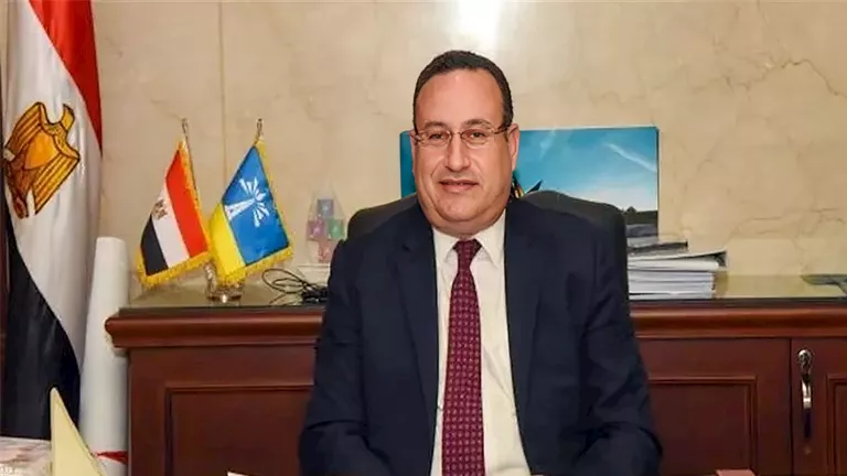 محافظ الوادي الجديد ورئيس الاستشعار من البعد يبحث مع اليابانيين مشروعا -صدى الخبر