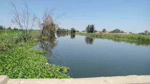 رصد أسباب ارتفاع منسوب مياه المصارف في وحدة محلية بكفر الشيخ- صور -صدى الخبر