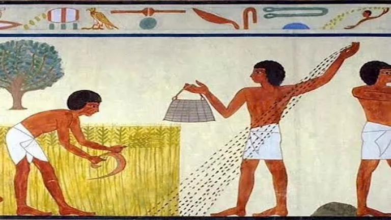 تعرف على قصة “أبو اللهاليب” أكثر شهور السنة حرارة في مصر -صدى الخبر