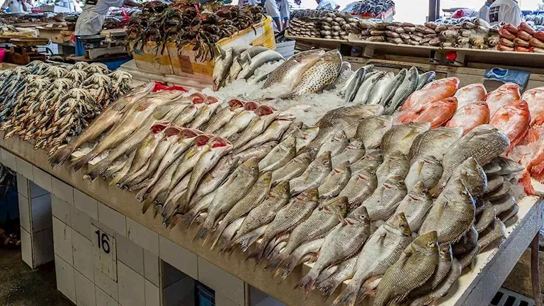 أسعار الأسماك والمأكولات البحرية في سوق العبور اليوم 22-7-2026 -صدى الخبر