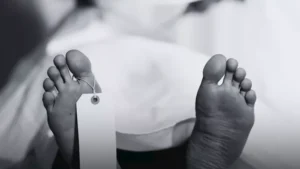 بعد قرار تمكين قضائي.. ماذا حدث للمحامية رشا فرحات داخل منزلها؟ -صدى الخبر