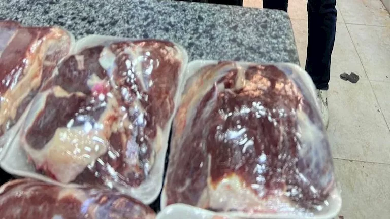 حملات مكثفة بالمنوفية تضبط 350 كيلو لحوم فاسدة -صدى الخبر