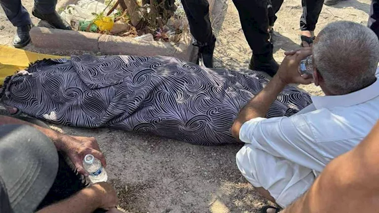 مصرع شخص صدمه قطار بمزلقان سكة حديد طموه جنوب الجيزة -صدى الخبر