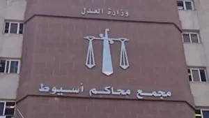 جنايات أسيوط تعاقب متهمًا بالسجن وغرامة مالية في قضية مخدرات -صدى الخبر