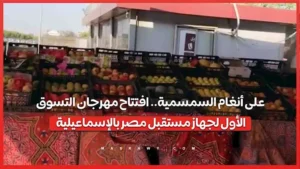 على أنغام السمسمية.. افتتاح مهرجان التسوق الأول لجهاز مستقبل مصر بالإسماعيلية -صدى الخبر