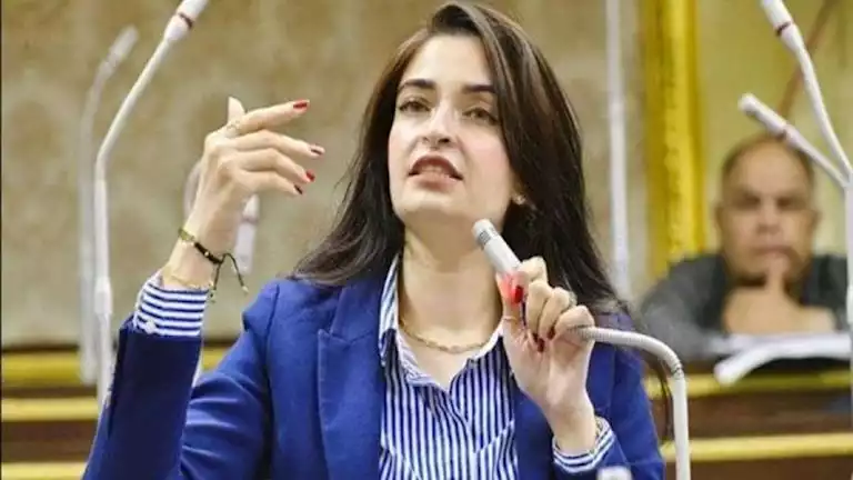 زيادة أسعار الكهرباء.. النائبة إيرين سعيد تسأل الحكومة عن مبررات القرا -صدى الخبر