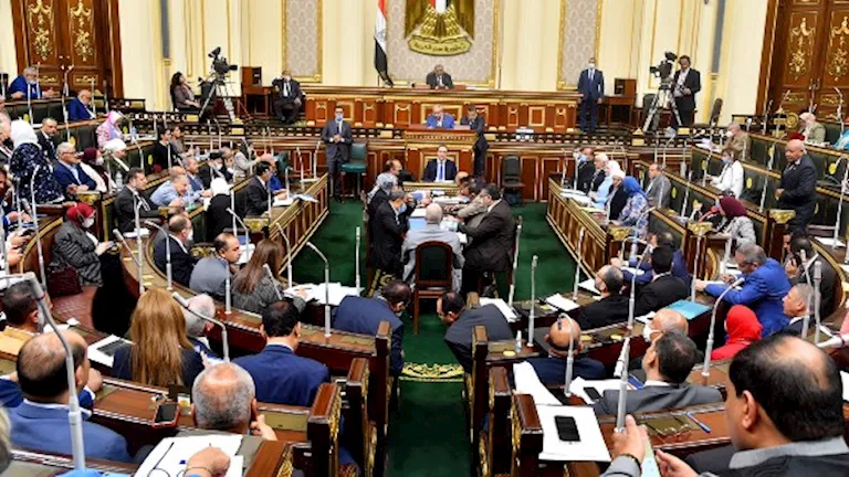 نائب يطالب بكشف حقيقة إلغاء إقامة بعض المصريين في الإمارات -صدى الخبر