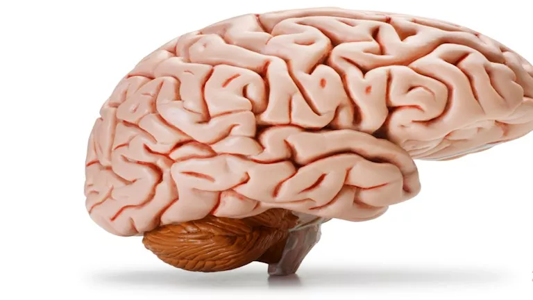 عادة يومية بسيطة تسرق تركيزك دون أن تشعر.. هل تفعلها كل يوم؟ -صدى الخبر