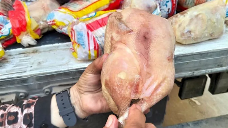 تعرف على أضرار غسل الدجاج قبل الطهي -صدى الخبر
