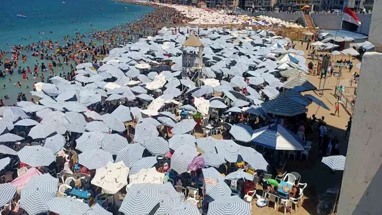 خمور ومواقد غاز وشيش.. ماذا ضبطت المصايف بشواطئ الإسكندرية؟ (صور) -صدى الخبر