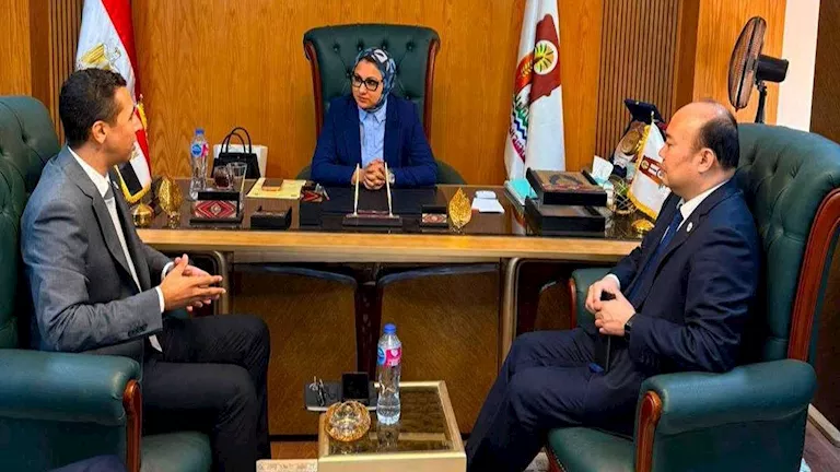 الوادي الجديد تفتح باب الشراكة الصينية في مشروعات الطاقة النظيفة -صدى الخبر