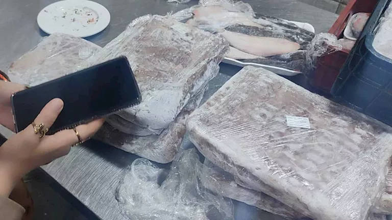 ضبط أسماك وبحريات فاسدة داخل مطعم شهير ببورفؤاد -صدى الخبر