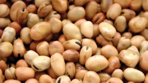 انخفاض أسعار الزيت والسكر والفول بالأسواق اليوم الأحد 2-8-2026 -صدى الخبر