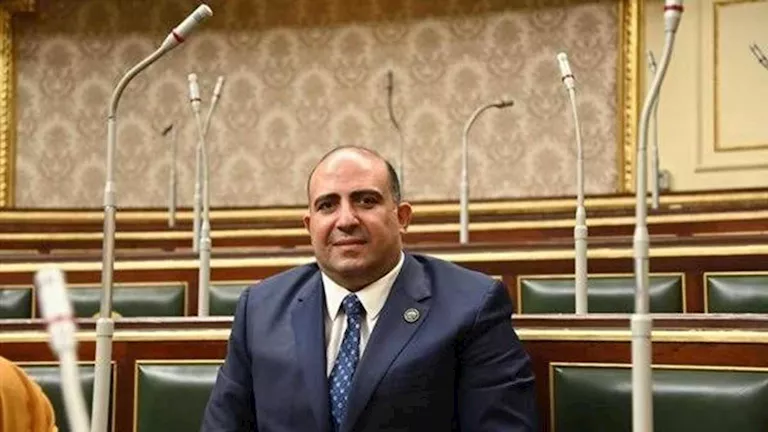 نائب يطالب الحكومة بوضع خريطة صناعية متكاملة لتحديد احتياجات السوق الم -صدى الخبر