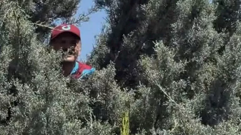 مشجع تركي يتسلق شجرة في محاولة لرؤية محمد صلاح وسط استقبال جماهيري حاش -صدى الخبر