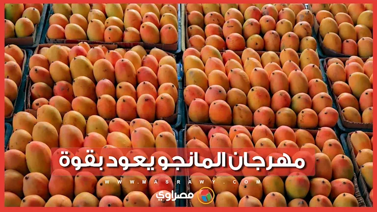 الإسماعيلية تستعد لمهرجان المانجو 4.. تفاصيل الفعاليات وموعد الانطلاق -صدى الخبر