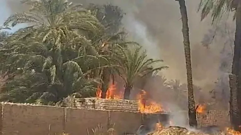 إخماد حريق ضخم في أشجار وحشائش بقرية عطف حيدر بالمنيا (صور) -صدى الخبر