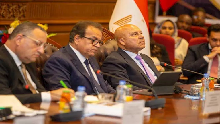 مباحثات مصرية تشادية موسعة لتعزيز الشراكة بين البلدين -صدى الخبر