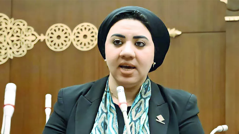 بعد واقعة سيزلر.. برلمانية تستعرض ضوابط فصل العامل بالقانون -صدى الخبر