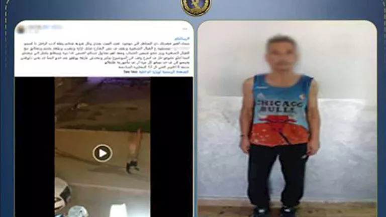 بعد تداول فيديو صادم.. ضبط شخص ظهر عاريًا واعتدى على المارة بالجيزة -صدى الخبر