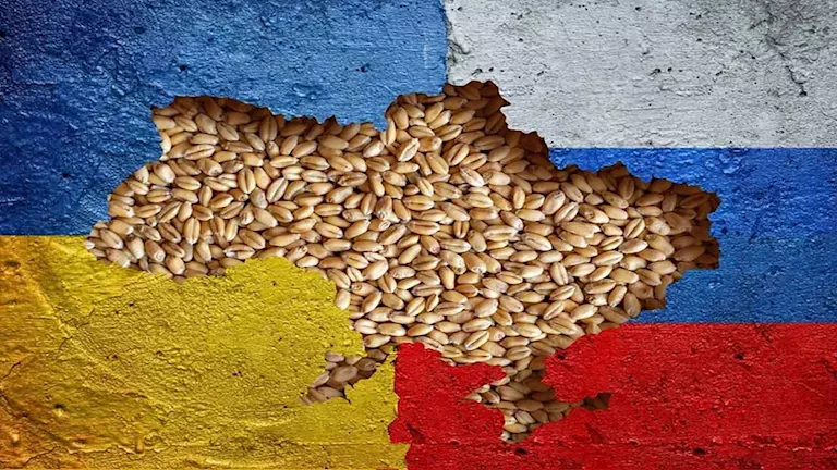 القمح يقفز 25%.. هل تصيب رصاصة البحر الأسود رغيف المصريين؟ -صدى الخبر