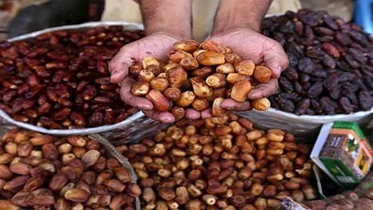الزراعة: صادرات التمور المصرية تبلغ 161 مليون دولار الزراعة: صادرات التمور المصرية تبلغ 161 مليون دولار