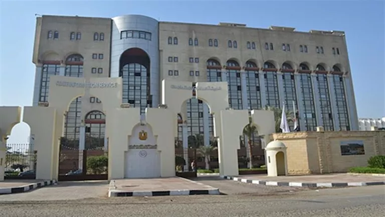 97% من الطلب المحلي.. الاستعلامات تكشف تطور إنتاج الدواجن في مصر 97% من الطلب المحلي.. الاستعلامات تكشف تطور إنتاج الدواجن في مصر