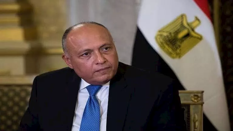 سامح شكري يعلق على طلب السيسي تفويض البرلمان بشأن السعودية سامح شكري يعلق على طلب السيسي تفويض البرلمان بشأن السعودية