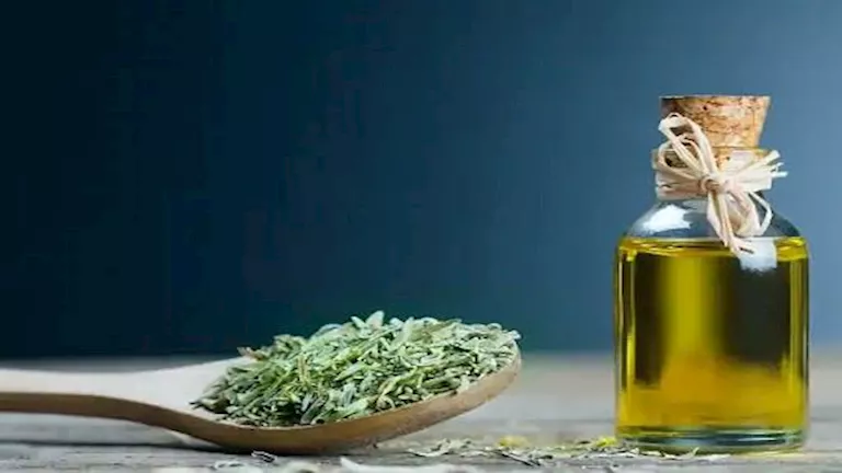 الزعتر.. فوائد صحية عديدة تجعله من أهم الأعشاب في مطبخك -صدى الخبر الزعتر.. فوائد صحية عديدة تجعله من أهم الأعشاب في مطبخك -صدى الخبر