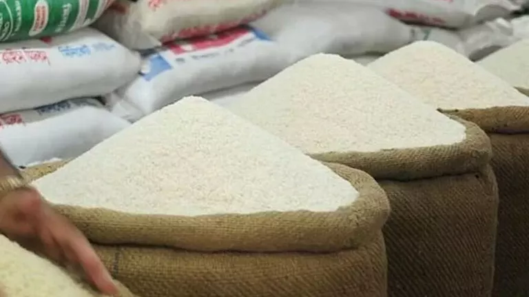 سعر طن الأرز يرتفع لـ 1000 جنيه.. والزراعة تكشف السبب سعر طن الأرز يرتفع لـ 1000 جنيه.. والزراعة تكشف السبب