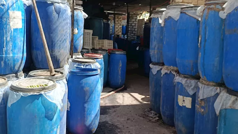 ضبط 12 مصنع تخليل زيتون تلقي مخلفاتها في بحر فيديمين بالفيوم ضبط 12 مصنع تخليل زيتون تلقي مخلفاتها في بحر فيديمين بالفيوم