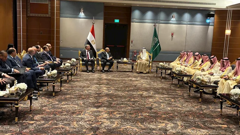 مصر والسعودية تبحثان تعزيز التكامل في قطاع الطاقة مصر والسعودية تبحثان تعزيز التكامل في قطاع الطاقة