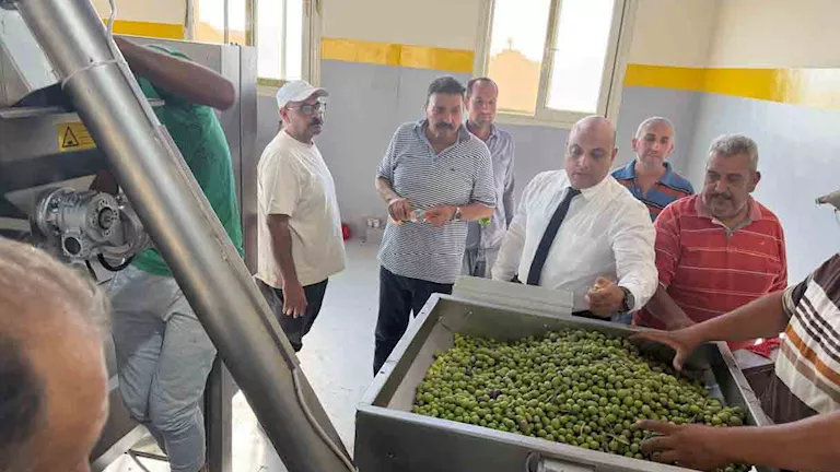 وزير الزراعة يتابع بشائر إنتاج الزيتون بسيناء ويوجه بدعم المزارعين وخف وزير الزراعة يتابع بشائر إنتاج الزيتون بسيناء ويوجه بدعم المزارعين وخف