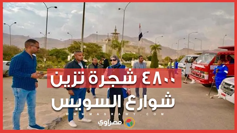 المسطحات الخضراء تزين السويس.. وصول 4800 شجرة بونسيانا وجاكراندا لتشجي المسطحات الخضراء تزين السويس.. وصول 4800 شجرة بونسيانا وجاكراندا لتشجي