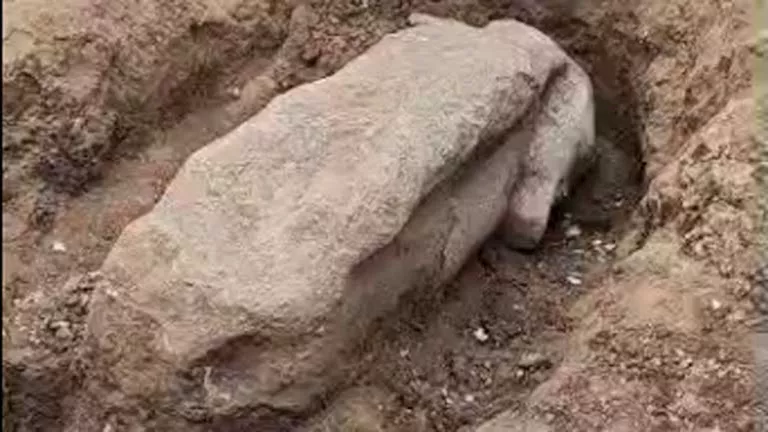 صور توثق العثور على بقايا تمثال رمسيس الثاني بالغربية -صدى الخبر صور توثق العثور على بقايا تمثال رمسيس الثاني بالغربية -صدى الخبر