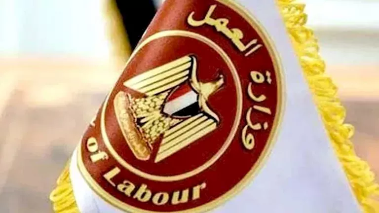 العمل تعلن فرص عمل جديدة في 11 محافظة العمل تعلن فرص عمل جديدة في 11 محافظة