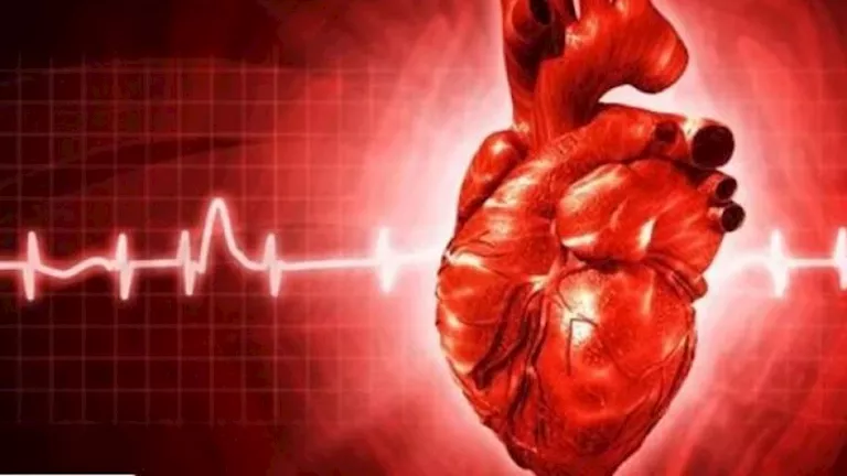 استشاري قلب: الجسم يرسل إشارات مبكرة تنذر بمشكلات قلبية خطيرة استشاري قلب: الجسم يرسل إشارات مبكرة تنذر بمشكلات قلبية خطيرة