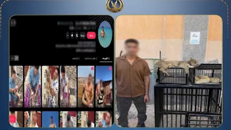 ضبط صانع محتوى يربي قطا بريا وثعبانين خطرين أعلى منزله في كفر الشيخ -صدى الخبر ضبط صانع محتوى يربي قطا بريا وثعبانين خطرين أعلى منزله في كفر الشيخ -صدى الخبر