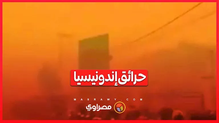 حرائق الغابات تجتاح إندونيسيا.. والدخان يصل إلى دول مجاورة حرائق الغابات تجتاح إندونيسيا.. والدخان يصل إلى دول مجاورة