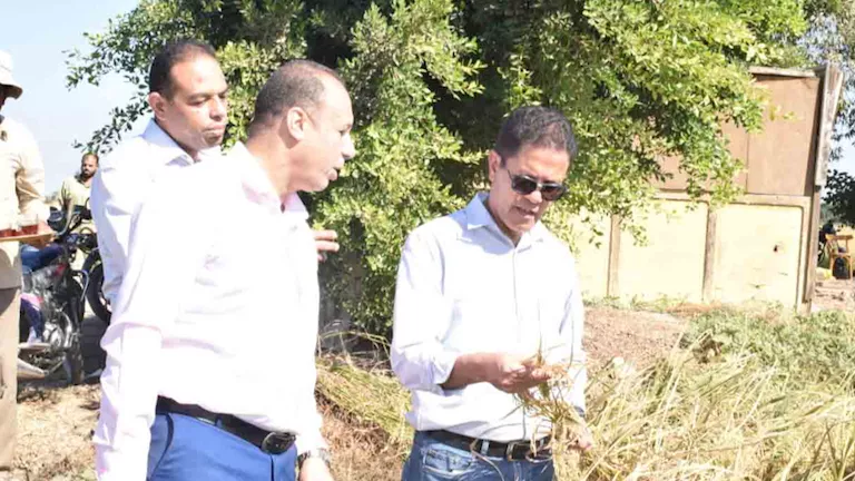 جامعة بنها تمهد لتسجيل سلالتي أرز جديدتين لدعم الإنتاج الزراعي (صور) جامعة بنها تمهد لتسجيل سلالتي أرز جديدتين لدعم الإنتاج الزراعي (صور)