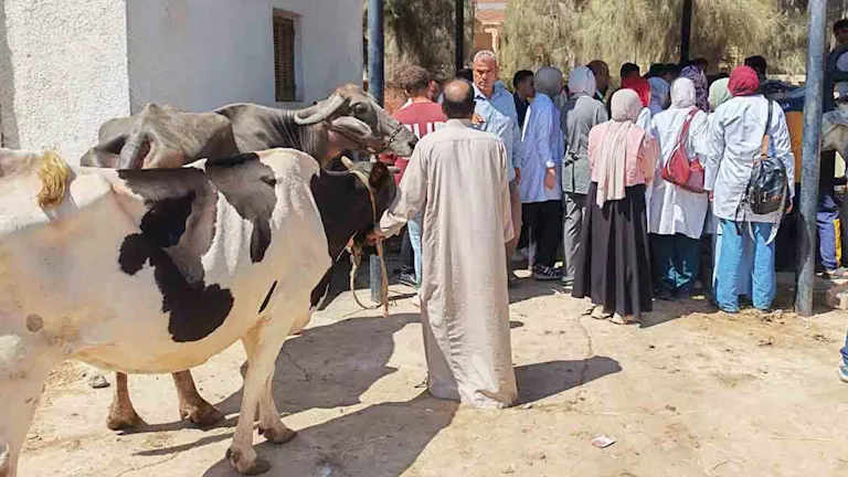 الزراعة تقدم الرعاية لأكثر من 110 آلاف رأس ماشية الزراعة تقدم الرعاية لأكثر من 110 آلاف رأس ماشية