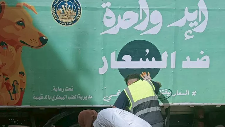 حملات مكبرة لمكافحة الكلاب الضالة في الدقهلية -صدى الخبر حملات مكبرة لمكافحة الكلاب الضالة في الدقهلية -صدى الخبر